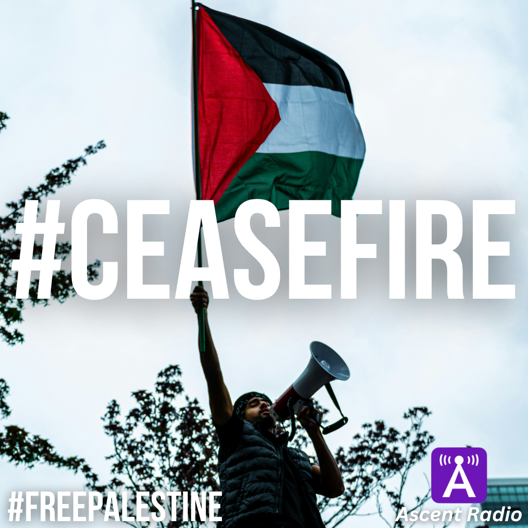 Protester waving Palestinian flag